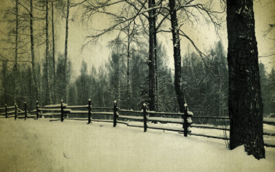 Franz Schuberts Winterreise